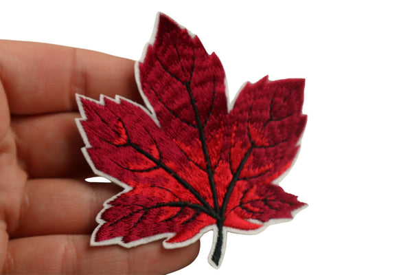 All in one Maple Leaf Patch Set, 90 pcs in one Pack, 3.1" Iron On Patch, Embroidery Sycamore leaf Patch, Sew On Patch, Applique